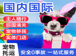 大同机场快运国际宠物托运 【国